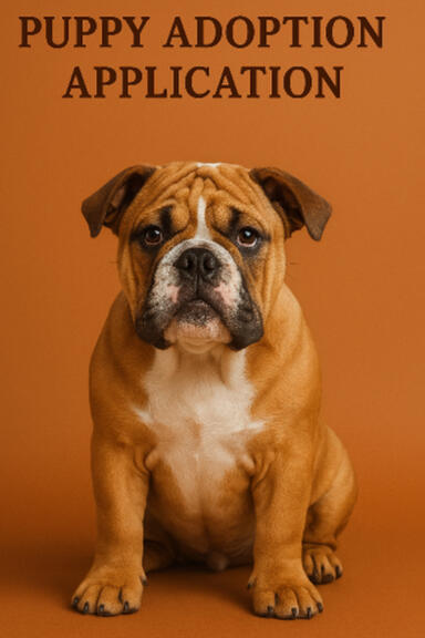 Beauty and Beasts Bulldogges